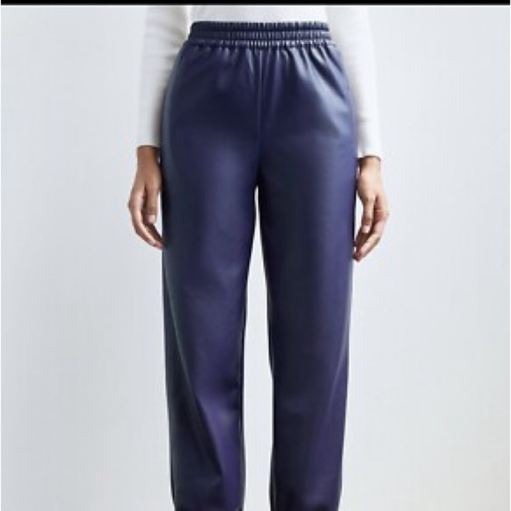 Aritzia babaton Zedel vegan leather joggers